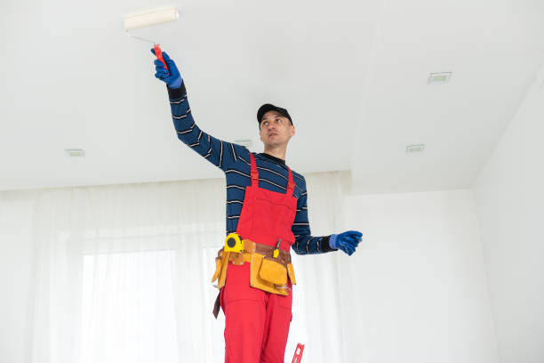 Reliable Monroeville, OH Mold Removal Solutions