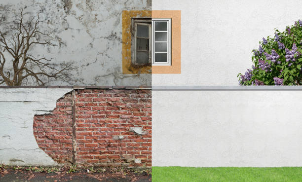 Best Industrial Mold Remediation  in Monroeville, OH