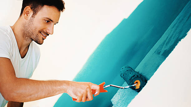 Best Post-Construction Mold Inspection  in Monroeville, OH